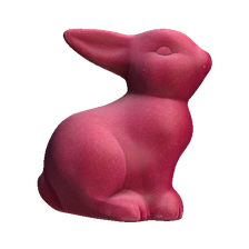 rabbit-fluffy