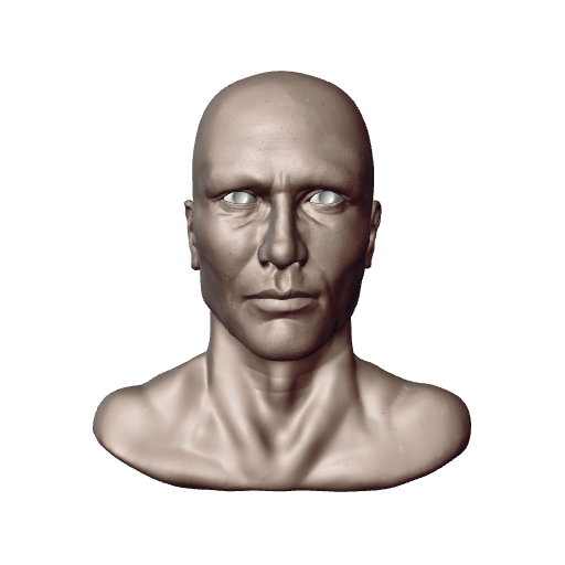 15 - Male Bust