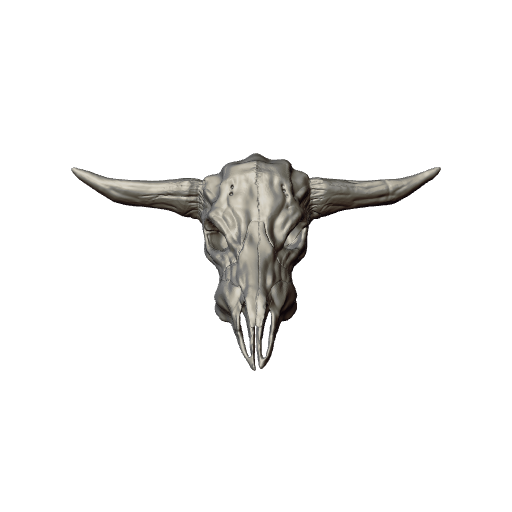 09 - Bull Skull