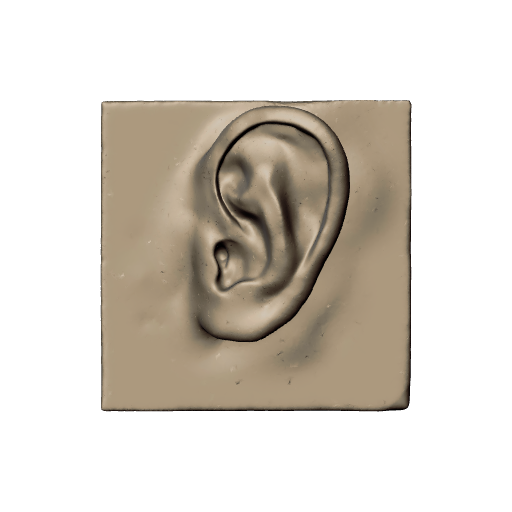 20 - Ear