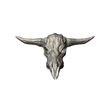 09 - Bull Skull