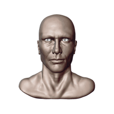 15 - Male Bust