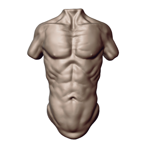 17 - EmaciatedTorso