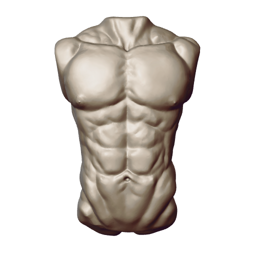 03 - Male Athletic Torso