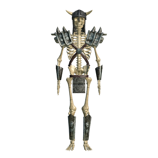 Skeleton Armour