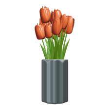 Tulips in vase