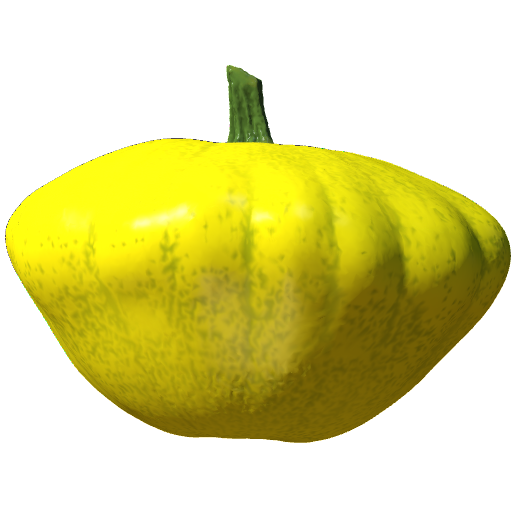 Pumpkin Small