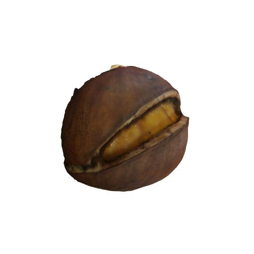(C)chestnut