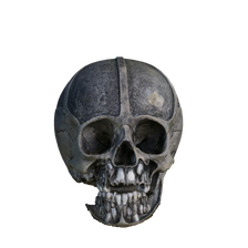 MUTTER adolescent-skull cleaned-exported