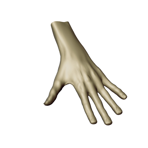 Human Hand, High Res