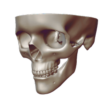 Skull - Blender (salvador.mata.com.mx)