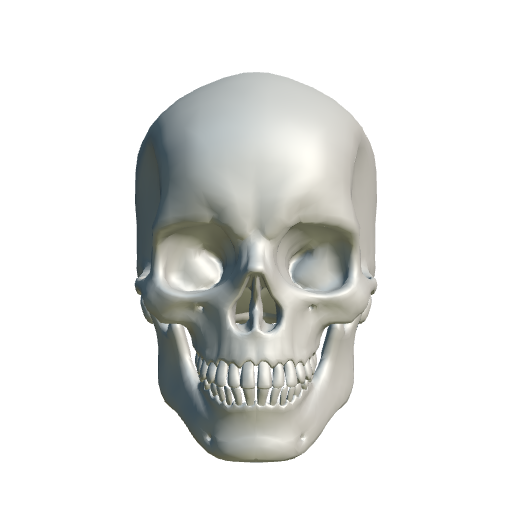 HumanSkull