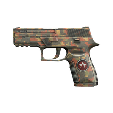 P250 | Red Rock