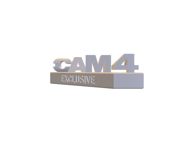 CAM4 stand2