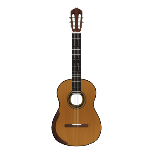 Acoustic Guitar Project