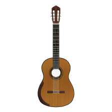 Acoustic Guitar Project