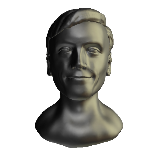 Self Portrait High Poly