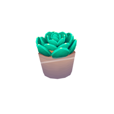 succulent