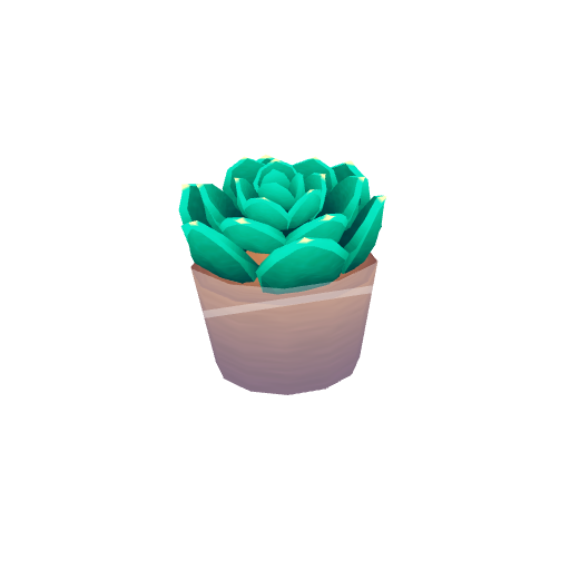 succulent