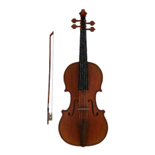 Violino