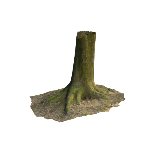 trunk 15 low poly