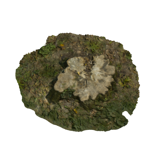 trunk 13