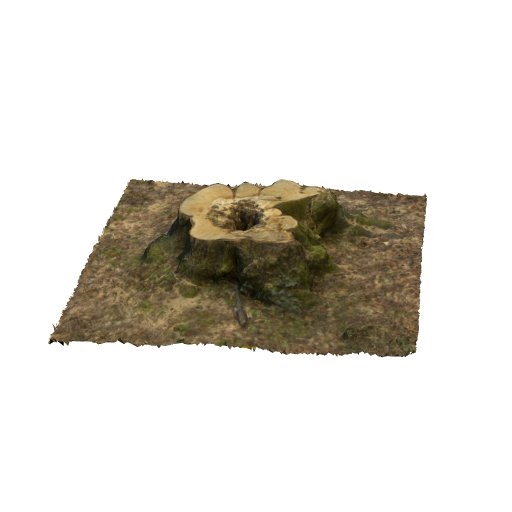 trunk 12 low poly