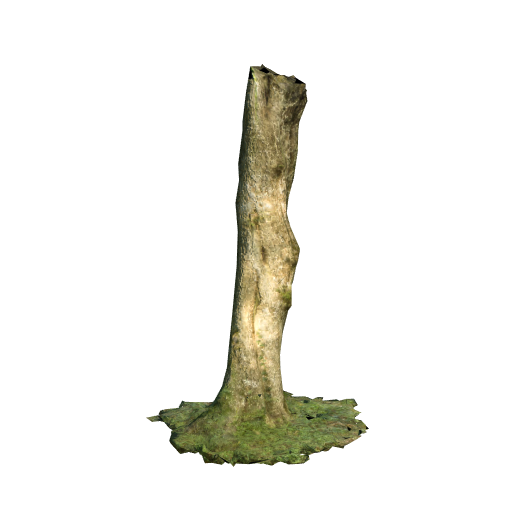 trunk 17 low poly