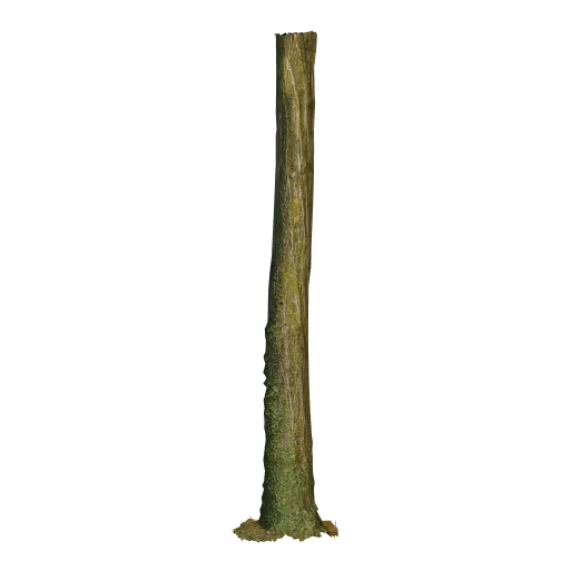 trunk 20 low poly