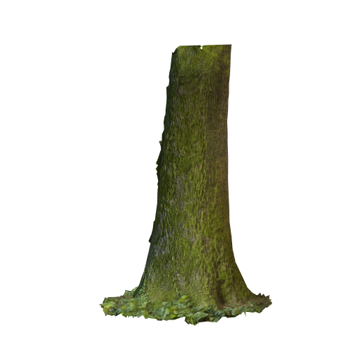 trunk 18 low poly