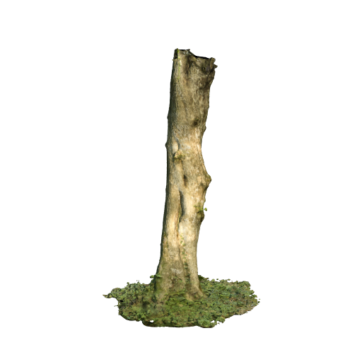 trunk 17