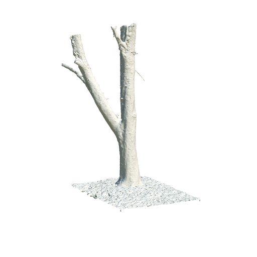 trunk 11