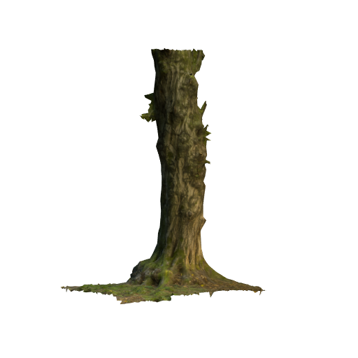 trunk 16 low poly