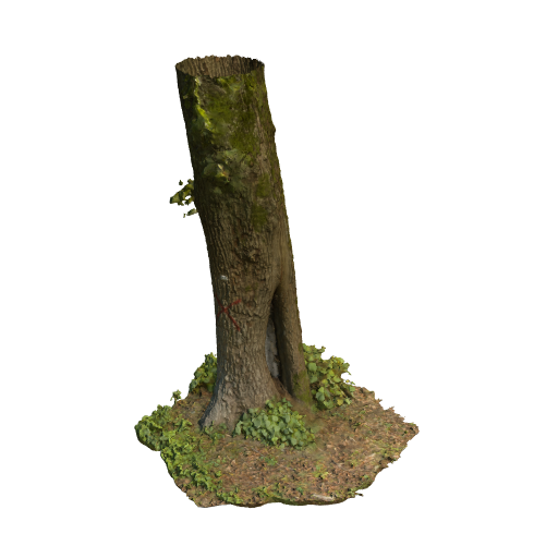 trunk 19