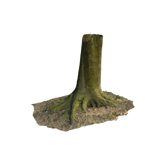 trunk 15