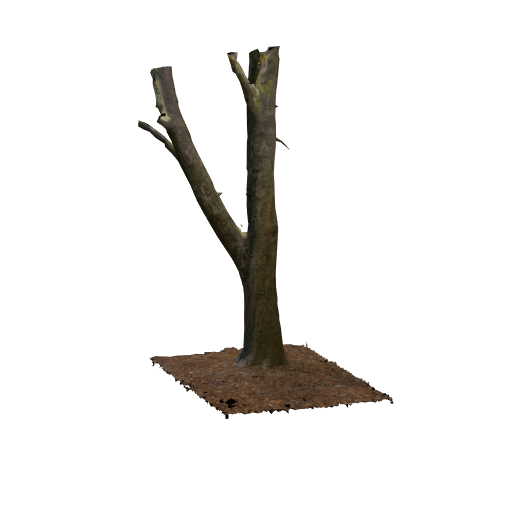 trunk 11 low poly