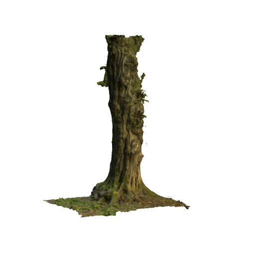 trunk 16