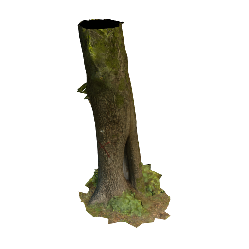 trunk 19 low poly