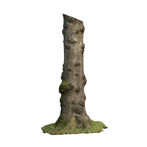 trunk 14