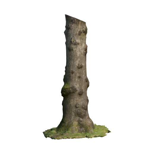 trunk 14 low poly