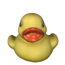 Duck - mac