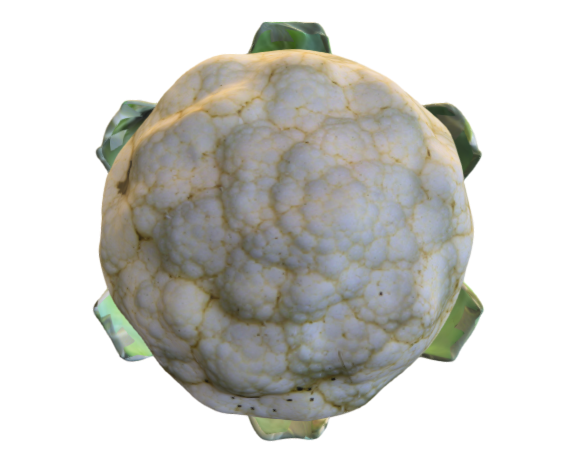 10172 Cauliflower.obj-L2