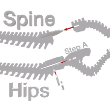 velociraptor spine hips