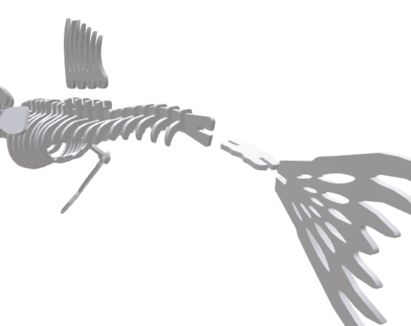 fiji mermaid tail dorsal