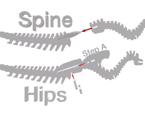 velociraptor spine hips