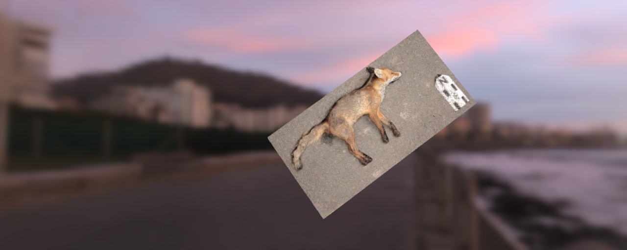 Dead fox on the Plisnesk road