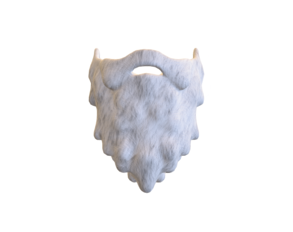 White beard2