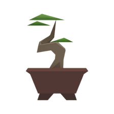 bonsai