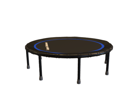 Leaps and Rebounds Mini Fitness Trampoline