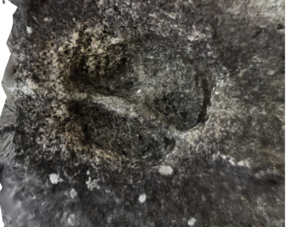 PHOTOGRAMMETRIE - Vallée LAUECH : MILLAS : GARONNE : Ruisseau PELARQUERE - Claude Moune - samedi 3 septembre 2022 - bloc granite petroglyphe bizarre